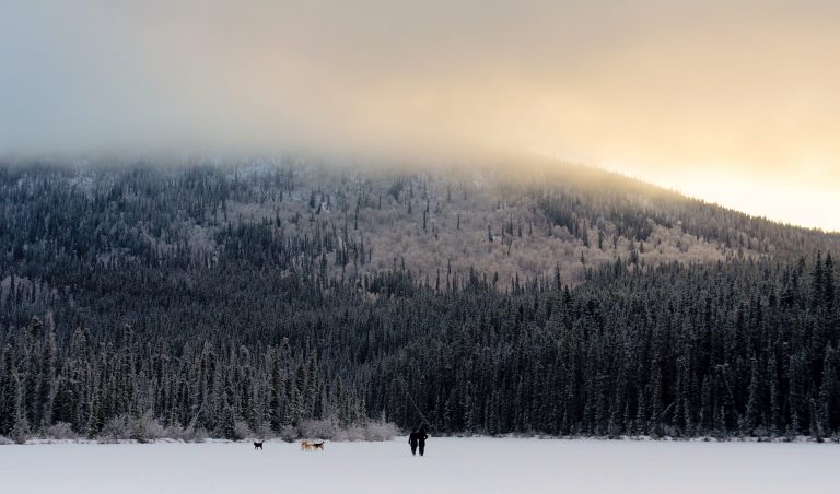 Christmas 2018 Dogs on Echo Lake | Devonavar